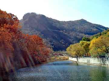 新澳天天开奖资料大全旅游团，永城seo论坛